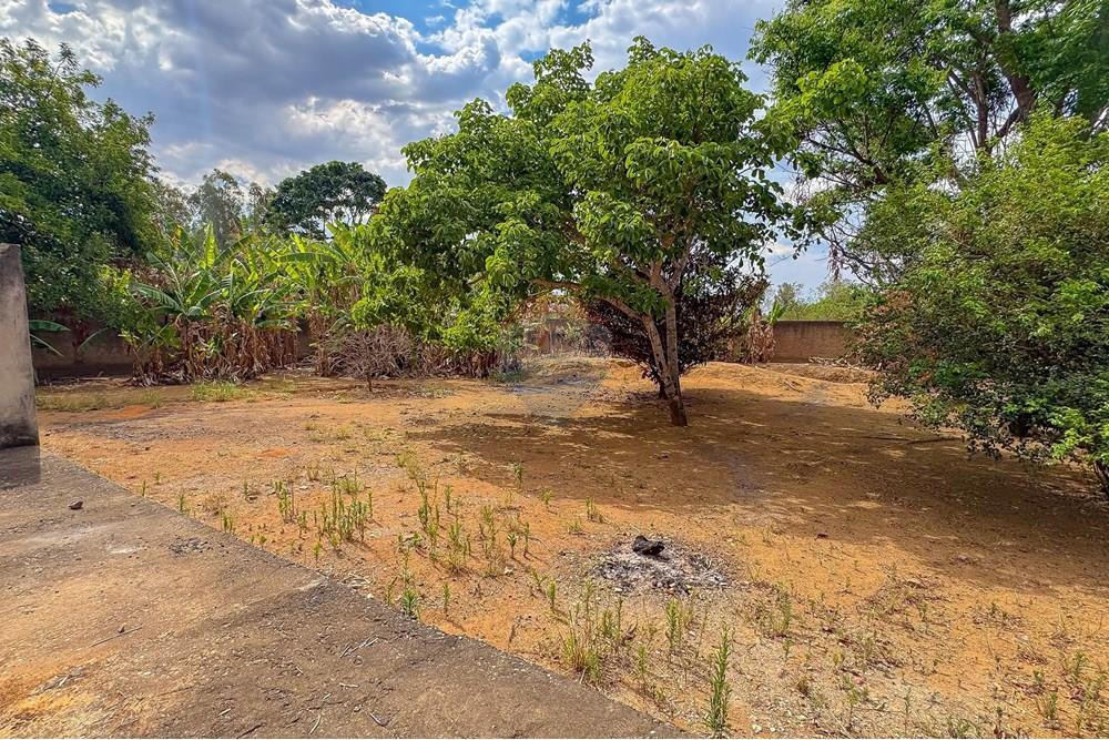 Chácara / Sítio / Fazenda - Venda - Ceilandia , Distrito Federal - IMG_9108.jpg - Jardim Externo - 880231186-13