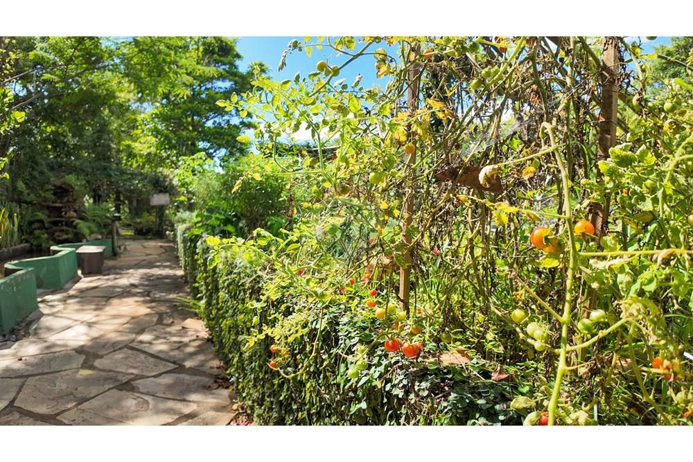 Hotel/ Pousada - Venda - Pirenópolis , Goiás - Cópia de DJI_20241128144937_0027_D.jpg - 880461004-27