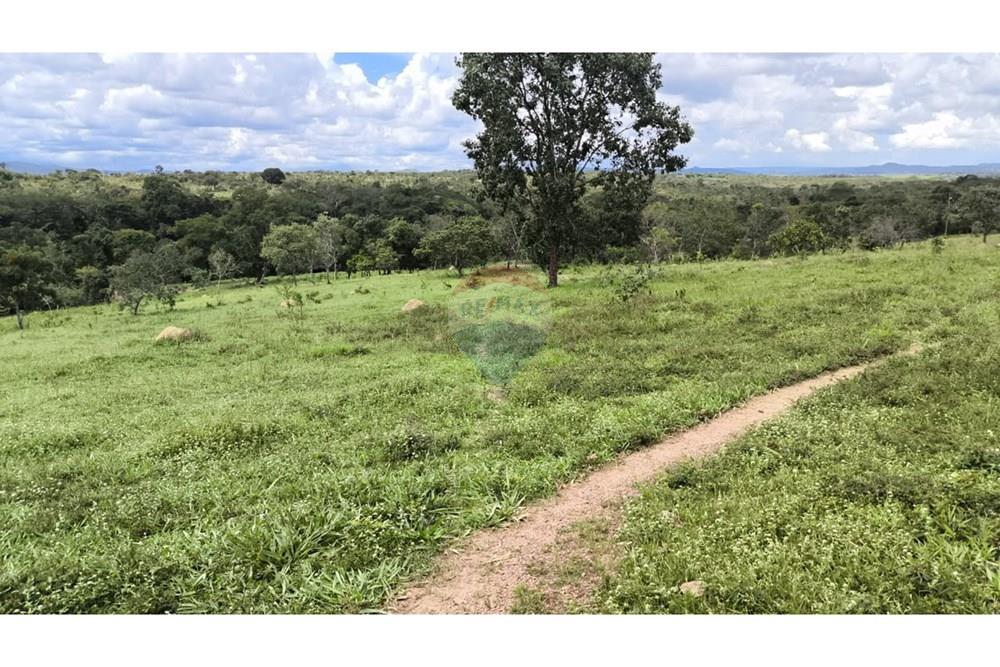 Fazenda - Venda - Padre Bernardo , Goiás - WhatsApp Image 2025-04-18 at 11.47.00 (1).jpeg - 880341026-62