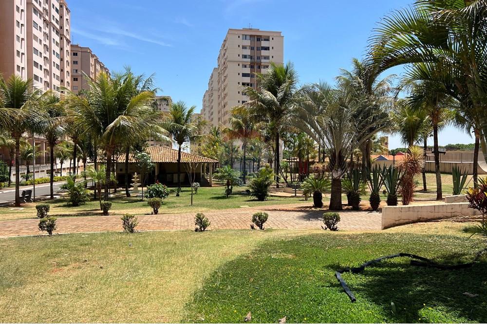 Apartamento - Venda - Ceilandia , Distrito Federal - IMG_4600.JPG - 880401014-14