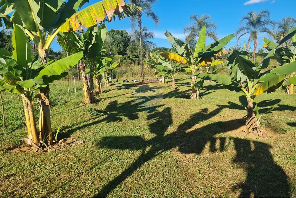 Chácara / Sítio / Fazenda - Venda - Brasília , Distrito Federal - 20250507_161234.jpg - 880321021-71