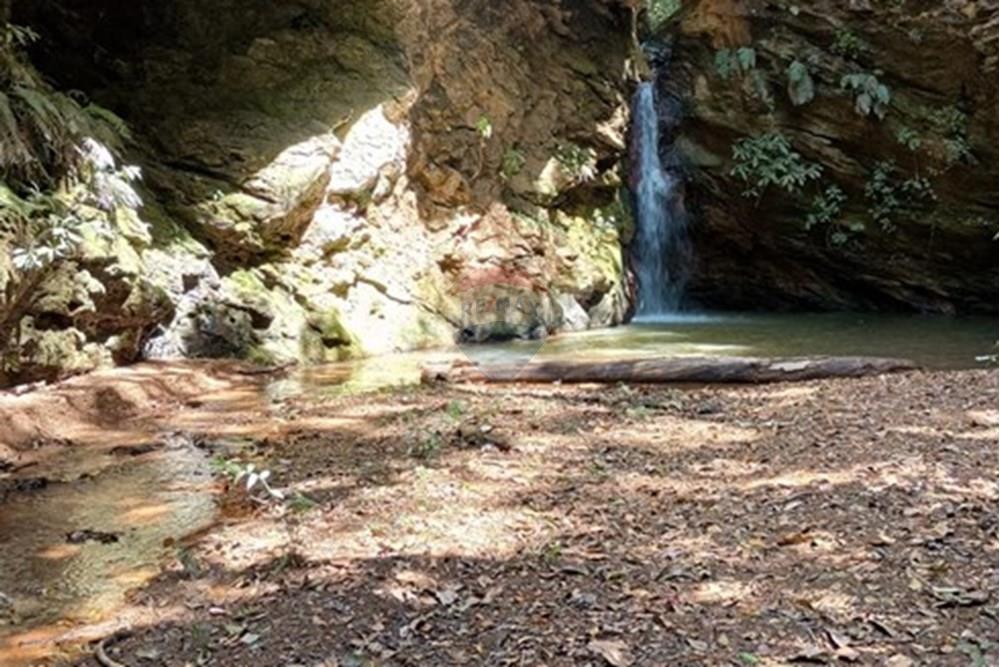 Chácara / Sítio / Fazenda - Venda - Luziânia , Goiás - Imagem do WhatsApp de 2025-06-26 à(s) 23.13.23_5f9c14fa.jpg - 880231017-81