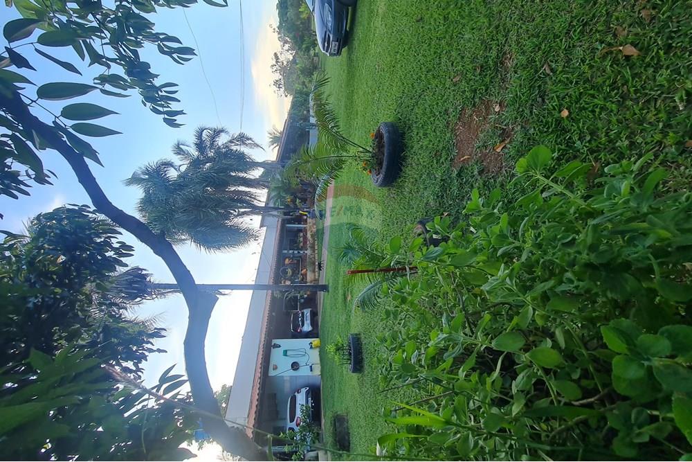 Chácara / Sítio / Fazenda - Venda - Brasília , Distrito Federal - 20250507_171025.jpg - 880321021-71