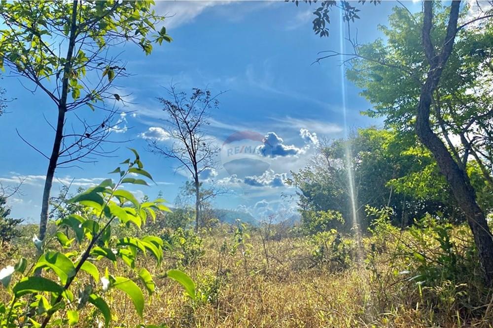Chácara / Sítio / Fazenda - Venda - Santo Antônio do Descoberto , Goiás - IMG_7553.JPG - 880111025-46