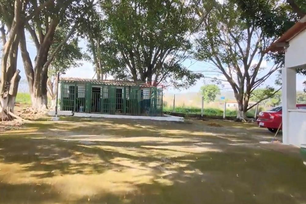 Chácara / Sítio / Fazenda - Venda - Gama , Distrito Federal - image (4).jpg - 880321005-55