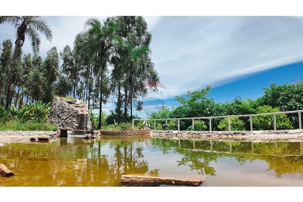 Chácara / Sítio / Fazenda - Venda - Sobradinho , Distrito Federal - DJI_20250123120056_0574_D.jpg - 880231061-43