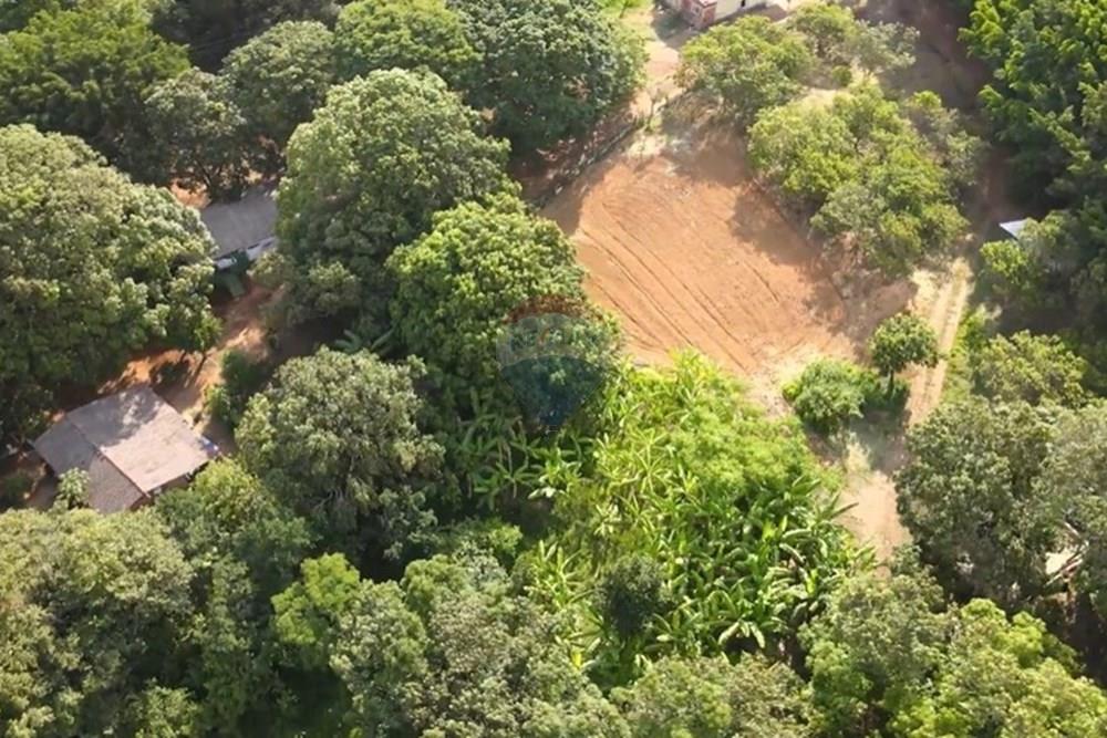 Chácara / Sítio / Fazenda - Venda - Gama , Distrito Federal - image (12).jpg - 880321005-55