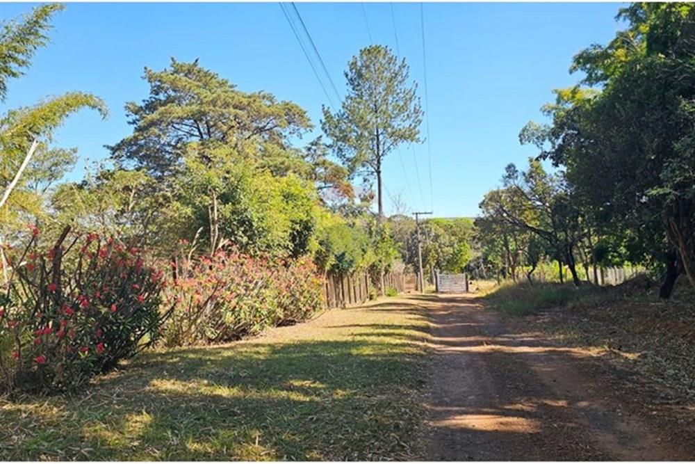 Chácara / Sítio / Fazenda - Venda - Recanto das Emas , Distrito Federal - WhatsApp Image 2025-10-10 at 3.31.41 PM (3).jpeg - 880111016-66