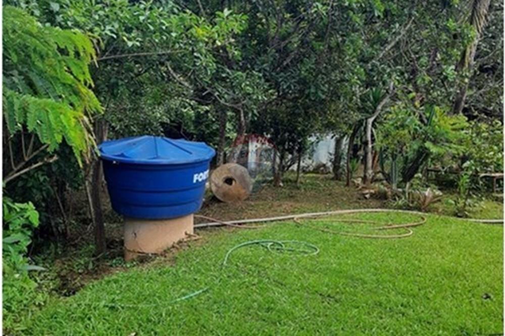 Chácara / Sítio / Fazenda - Venda - Águas Lindas de Goiás , Goiás - WhatsApp Image 2025-02-10 at 11.25.15.jpeg - 880111016-43