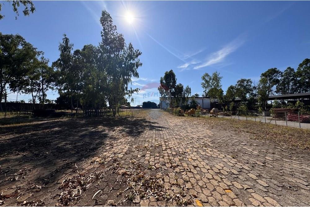 Galpão - Alugar - Recanto das Emas , Distrito Federal - WhatsApp Image 2025-03-28 at 12.08.24 (2).jpeg - 880241011-252