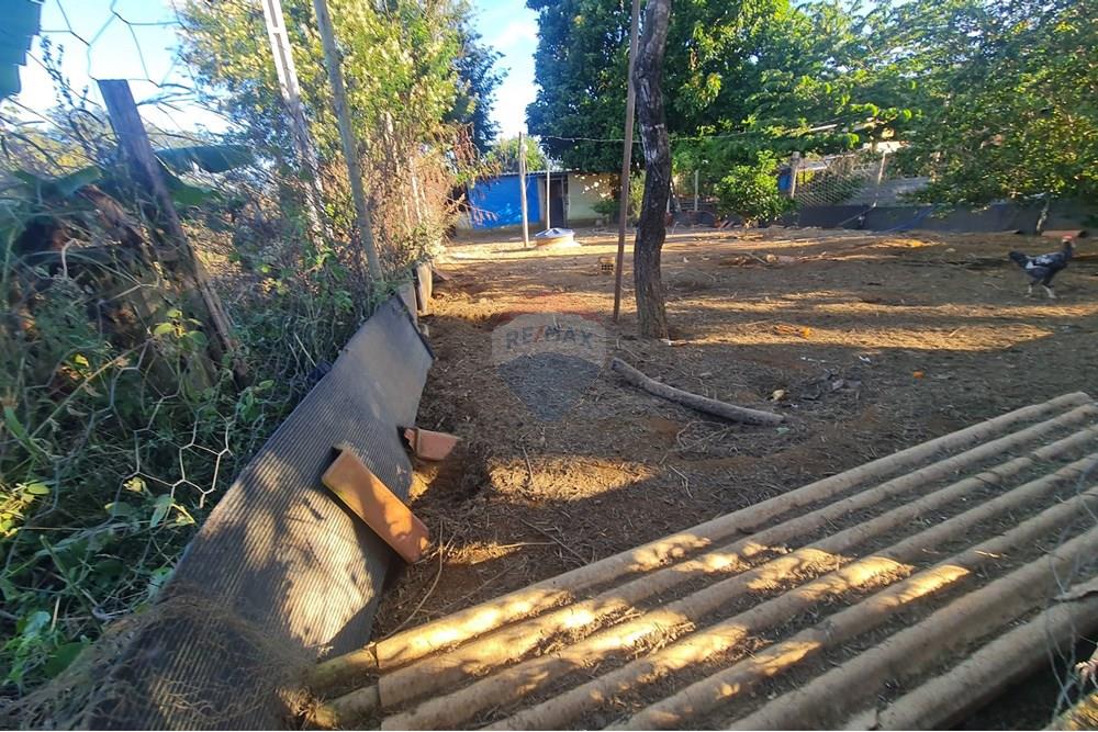 Chácara / Sítio / Fazenda - Venda - Brasília , Distrito Federal - 1003078388.jpg - 880321021-71