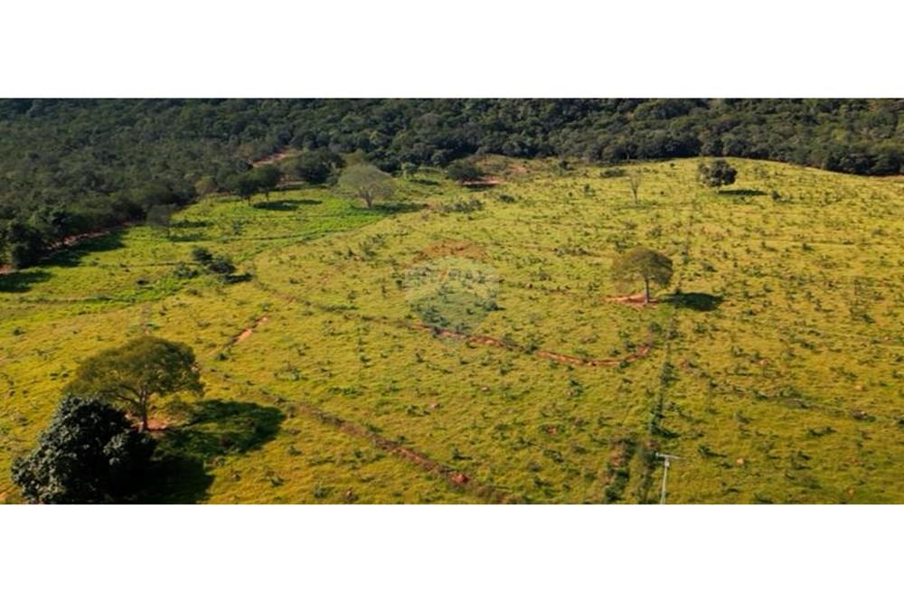 Chácara / Sítio / Fazenda - Venda - Unaí , Minas Gerais - WhatsApp Image 2025-02-26 at 08.09.37 (2).jpeg - Jardim Externo - 880261133-87