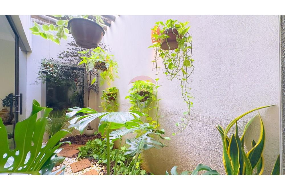 Casa - Venda - Sobradinho , Distrito Federal - IMG_2393.jpg - 880341027-29