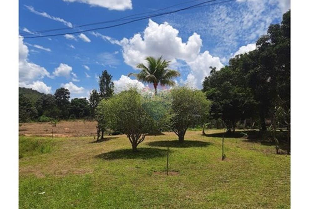 Chácara / Sítio / Fazenda - Venda - Águas Lindas de Goiás , Goiás - WhatsApp Image 2025-02-10 at 11.25.18 (1).jpeg - 880111016-43