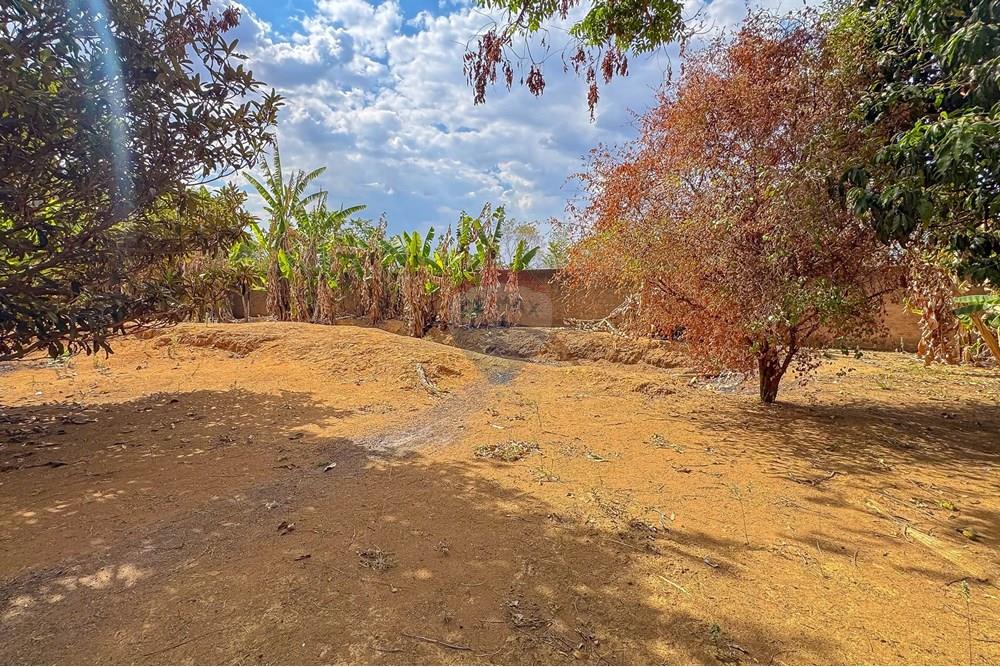 Chácara / Sítio / Fazenda - Venda - Ceilandia , Distrito Federal - IMG_9112.jpg - Jardim Externo - 880231186-13