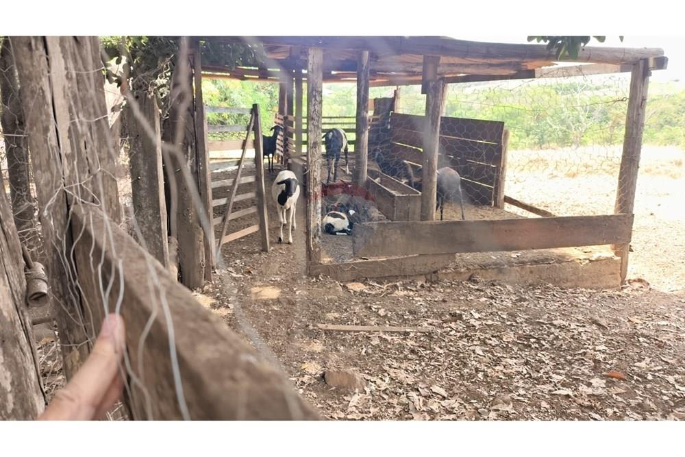 Chácara / Sítio / Fazenda - Venda - Cocalzinho de Goiás , Goiás - WhatsApp Image 2025-10-28 at 09.45.06.jpeg - 880341129-15