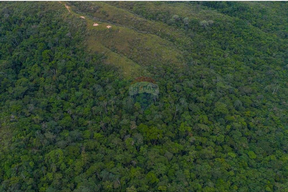 Terreno - Venda - Brasília , Distrito Federal - DJI_0088.jpg - 880251001-38