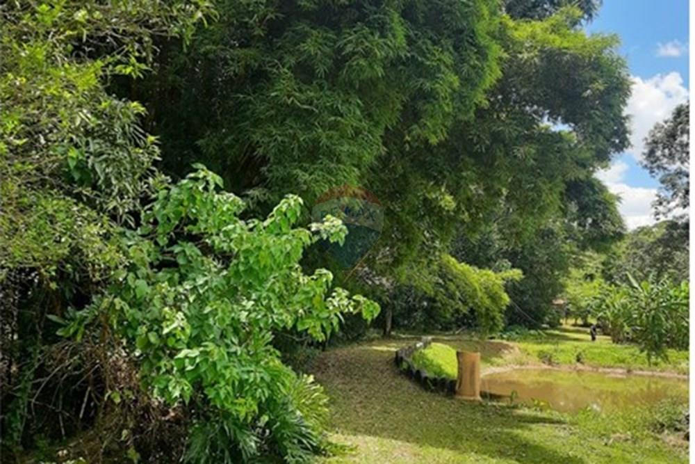 Chácara / Sítio / Fazenda - Venda - Águas Lindas de Goiás , Goiás - WhatsApp Image 2025-02-10 at 11.25.14 (1).jpeg - 880111016-43