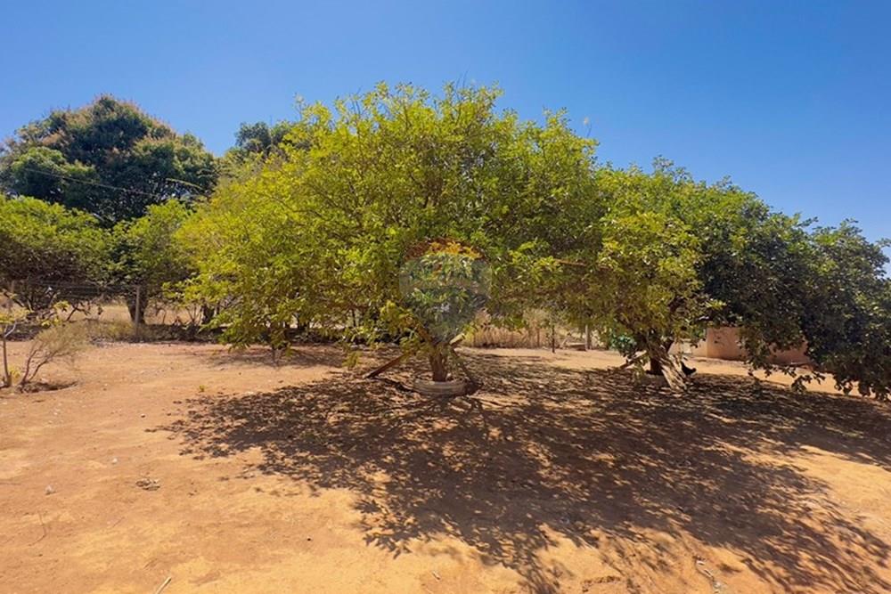 Chácara / Sítio / Fazenda - Venda - Sobradinho , Distrito Federal - IMG_8152.jpg - 880331086-15