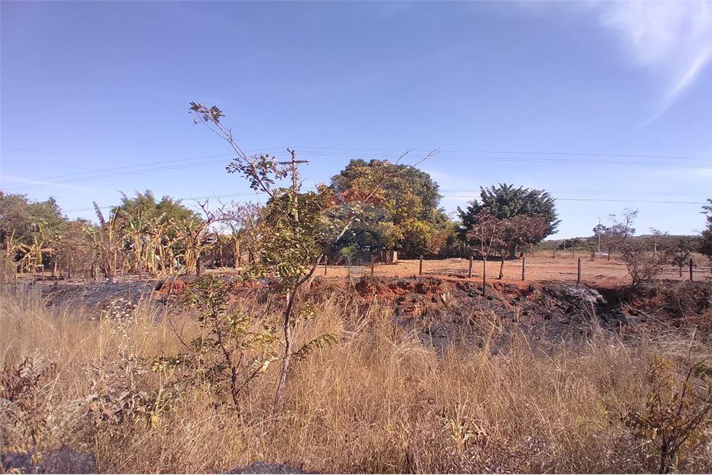 Chácara / Sítio / Fazenda - Venda - Gama , Distrito Federal - 30 - 880321005-55