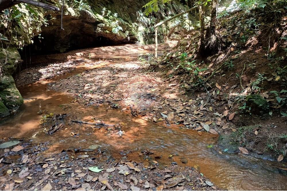 Chácara / Sítio / Fazenda - Venda - Luziânia , Goiás - Imagem do WhatsApp de 2025-06-26 à(s) 23.13.26_5d995788.jpg - 880231017-81