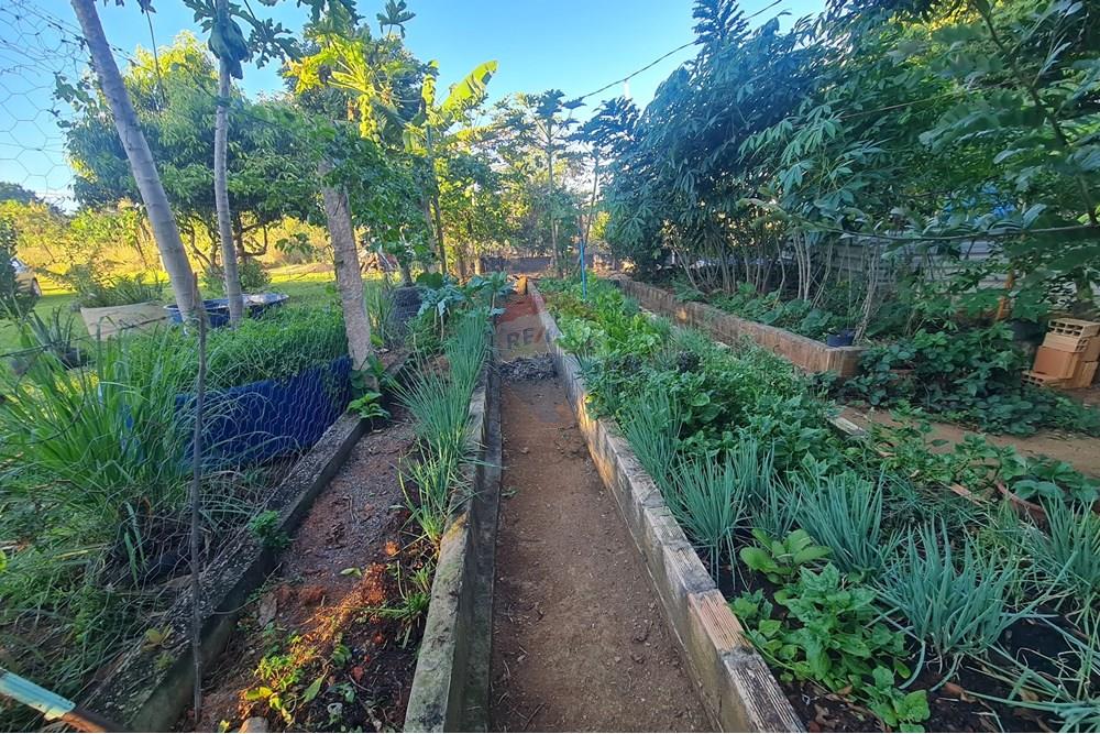 Chácara / Sítio / Fazenda - Venda - Brasília , Distrito Federal - 20250507_165533.jpg - 880321021-71