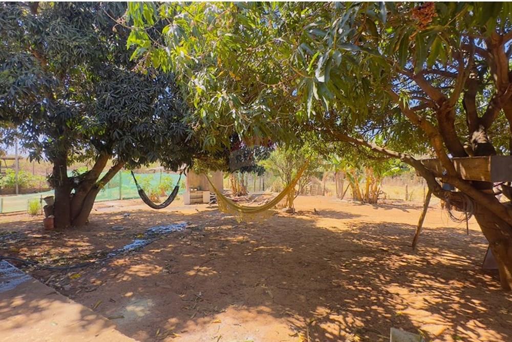 Chácara / Sítio / Fazenda - Venda - Sobradinho , Distrito Federal - IMG_8158.jpg - 880331086-15