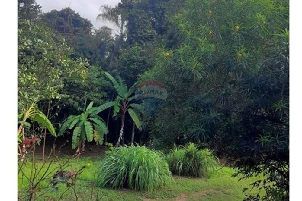 Chácara / Sítio / Fazenda - Venda - Águas Lindas de Goiás , Goiás - WhatsApp Image 2025-02-10 at 11.21.44.jpeg - 880111016-43