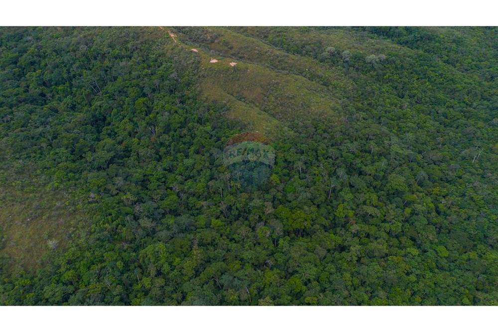 Terreno - Venda - Brasília , Distrito Federal - DJI_0088.jpg - 880251001-40