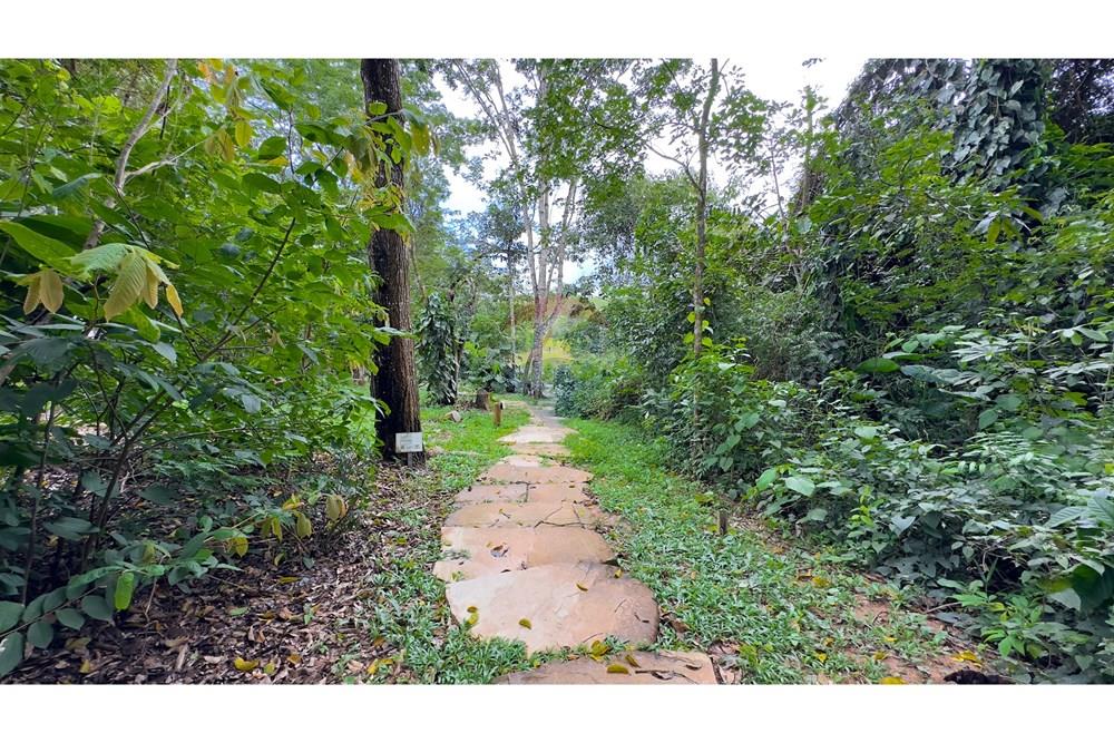 Casa - Venda - Brasília , Distrito Federal - trilhas.jpg - 880341024-120