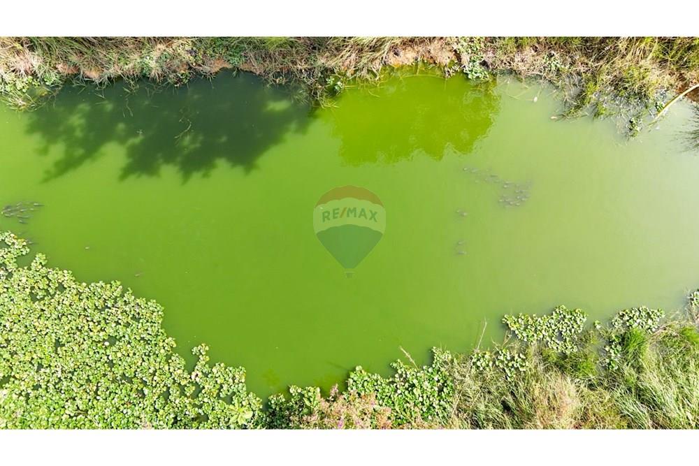 Terreno - Venda - Ceilandia , Distrito Federal - WhatsApp Image 2025-07-14 at 12.58.41.jpeg - 880411033-17