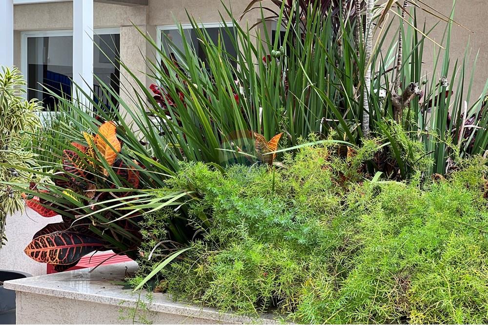 Apartamento - Venda - Guara , Distrito Federal - IMG_1816.JPG - 880351001-217