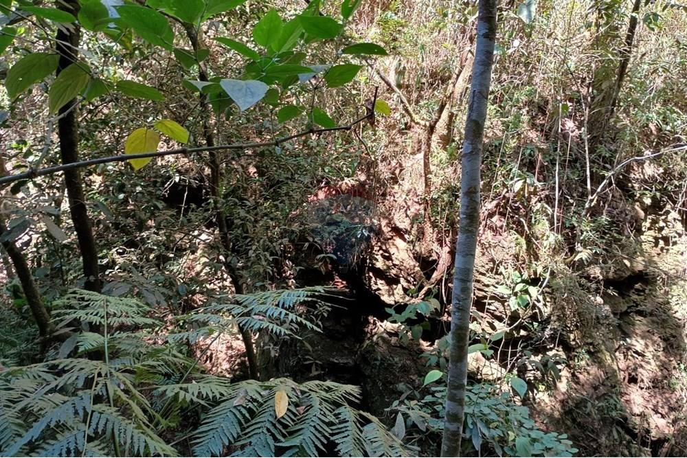 Chácara / Sítio / Fazenda - Venda - Luziânia , Goiás - Imagem do WhatsApp de 2025-06-26 à(s) 23.13.22_bed9457c.jpg - 880231017-81