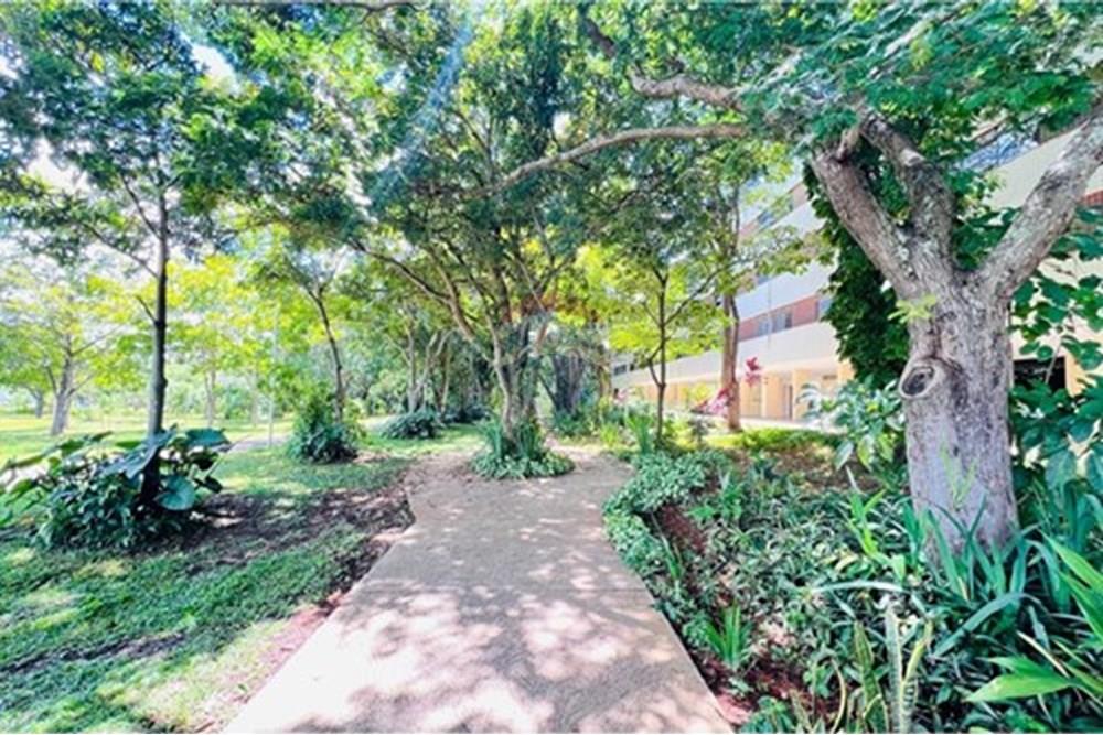 Apartamento - Venda - Brasília , Distrito Federal - L_1bd853b7-08f8-414f-ae0c-7b1fc5fe6196.jpg - 880341045-74