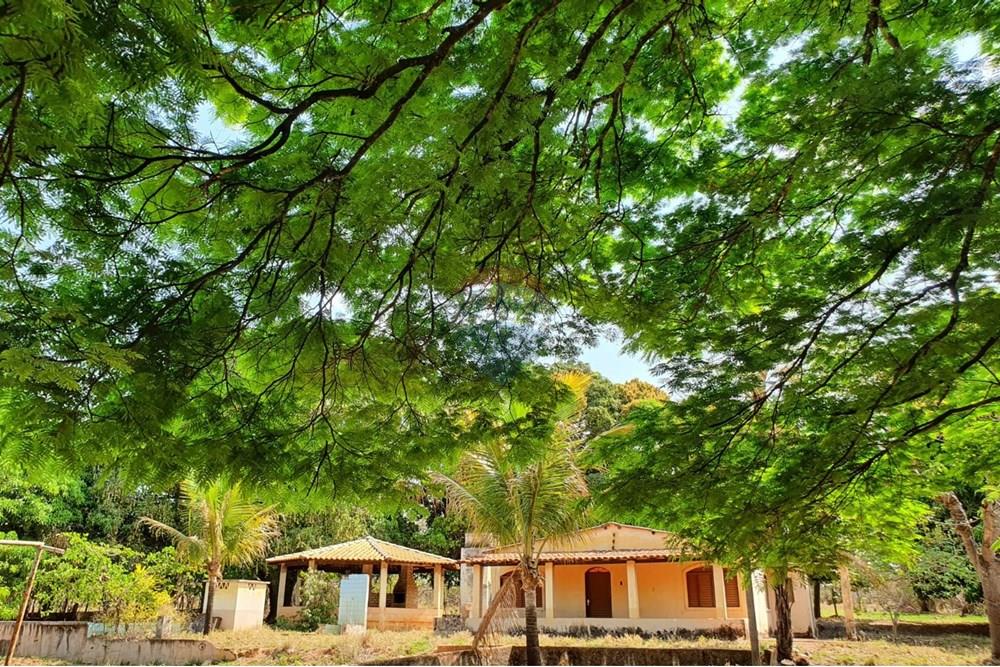 Chácara / Sítio / Fazenda - Venda - Valparaíso de Goiás , Goiás - 15.jpeg - 880341017-47