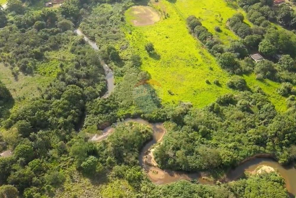 Chácara / Sítio / Fazenda - Venda - Gama , Distrito Federal - image (21).jpg - 880321005-55