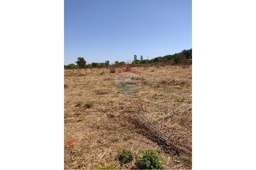 Terreno - Venda - Gama , Distrito Federal - lote 08.jpg - 880201061-3