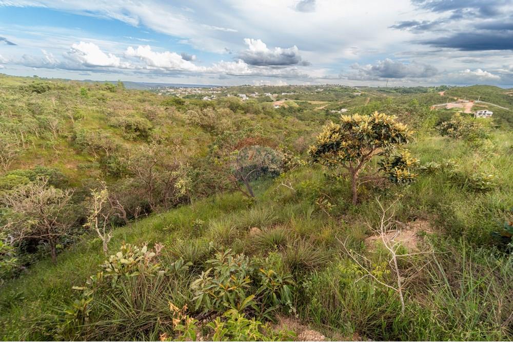 Terreno - Venda - Brasília , Distrito Federal - DSC03357-Aprimorado-NR.jpg - 880251001-38