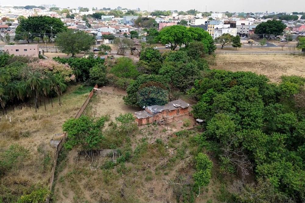 Chácara / Sítio / Fazenda - Venda - Gama , Distrito Federal - Captura de Tela (9891) copiar.jpg - 880161051-13