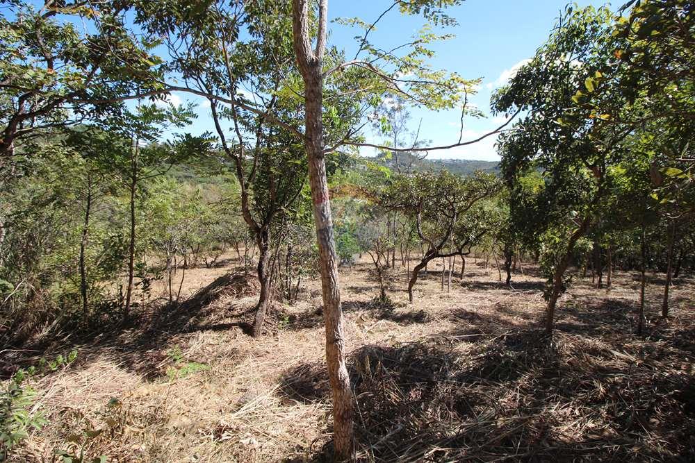 Terreno - Venda - Brasília , Distrito Federal - Interior - frente para o fundo - esq. para dir.JPG - 880151004-211