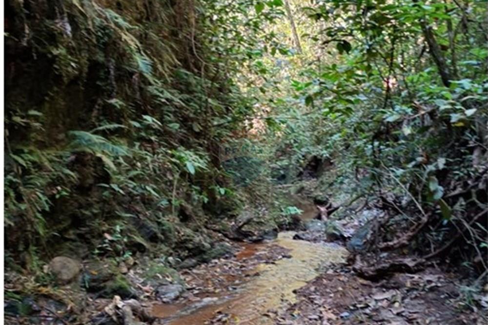 Chácara / Sítio / Fazenda - Venda - Luziânia , Goiás - Imagem do WhatsApp de 2025-06-26 à(s) 23.13.25_e22b2948.jpg - 880231017-81