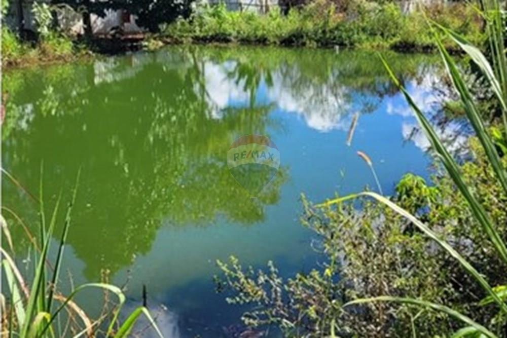 Terreno - Venda - Águas Lindas de Goiás , Goiás - b2c3964a-258f-4ac9-bf77-0691fc4c1589.jpg - 880111016-48