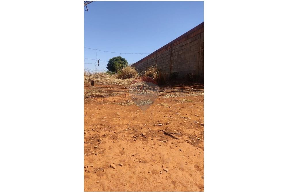 Terreno - Venda - Gama , Distrito Federal - 01.jpg - 880201061-3