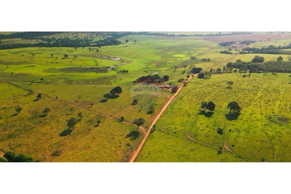 Chácara / Sítio / Fazenda - Venda - Unaí , Minas Gerais - WhatsApp Image 2025-02-26 at 08.09.36 (1).jpeg - Jardim Externo - 880261133-87