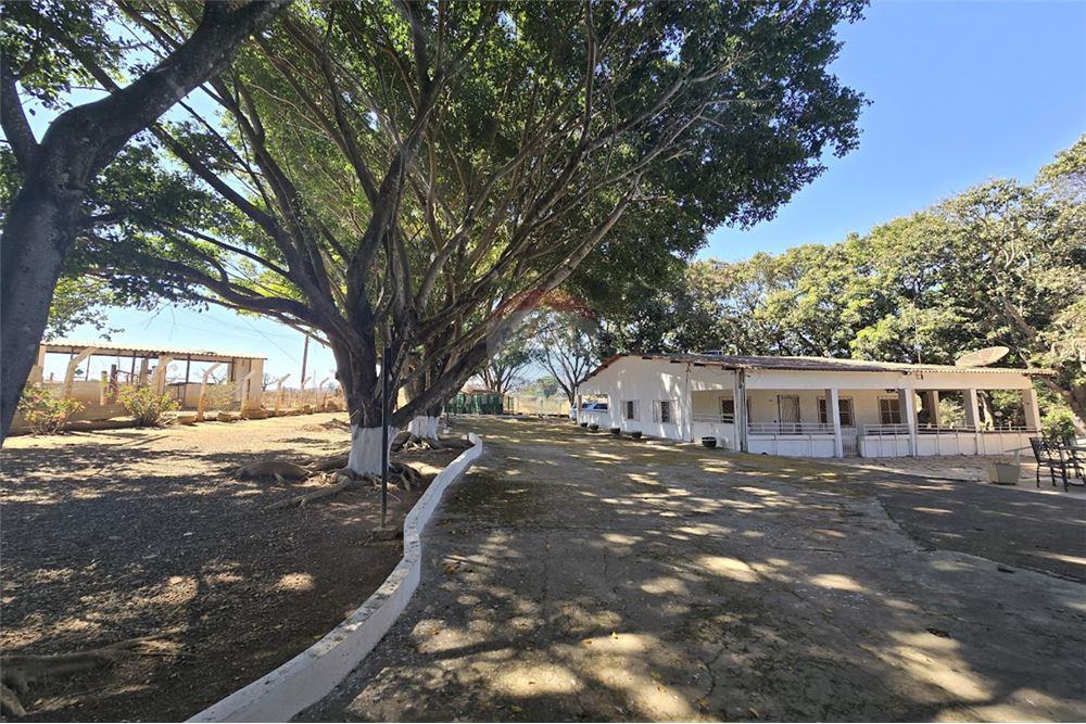 Chácara / Sítio / Fazenda - Venda - Gama , Distrito Federal - 14 - 880321005-55