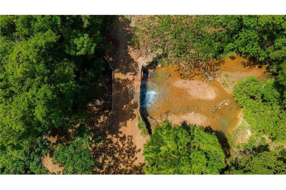 Chácara / Sítio / Fazenda - Venda - Ceilandia , Distrito Federal - 12 - 880241010-49