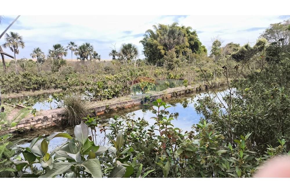 Chácara / Sítio / Fazenda - Venda - Cristalina , Goiás - WhatsApp Image 2025-07-31 at 14.48.23.jpeg - 880341026-65