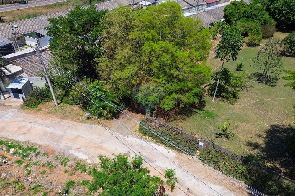 Chácara / Sítio / Fazenda - Venda - Cidade Ocidental , Goiás - DJI_0695.jpg - 880321021-99