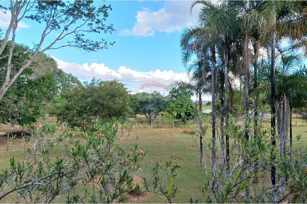 Chácara / Sítio / Fazenda - Venda - Sobradinho , Distrito Federal - WhatsApp Image 2025-05-06 at 09.44.53 (3).jpeg - 880411017-27