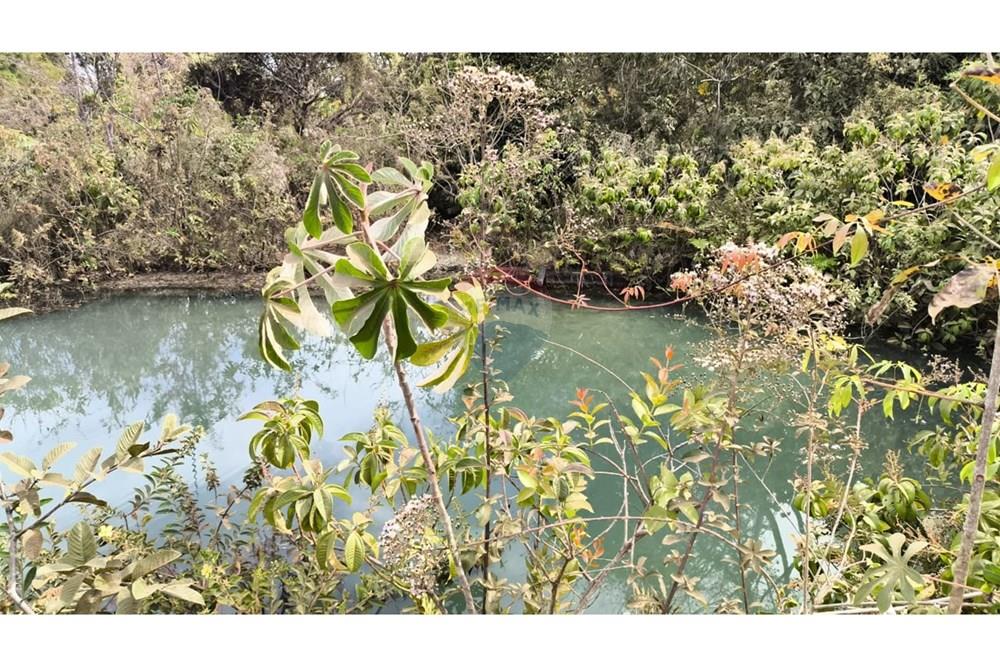 Chácara / Sítio / Fazenda - Venda - Cristalina , Goiás - WhatsApp Image 2025-07-31 at 14.48.36.jpeg - 880341026-65